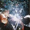 dentro me gata-80x150